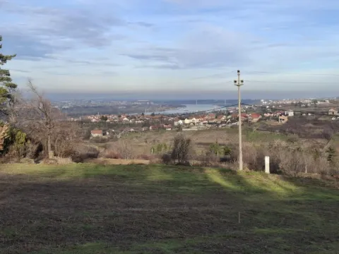 Prodaja, plac, 2400m², Ledinci, Petrovaradin - image 5