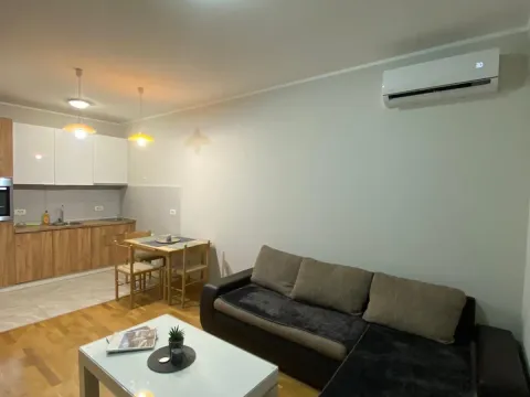 Izdavanje, jednosoban stan, 43m², Zabjelo, Podgorica - image 1