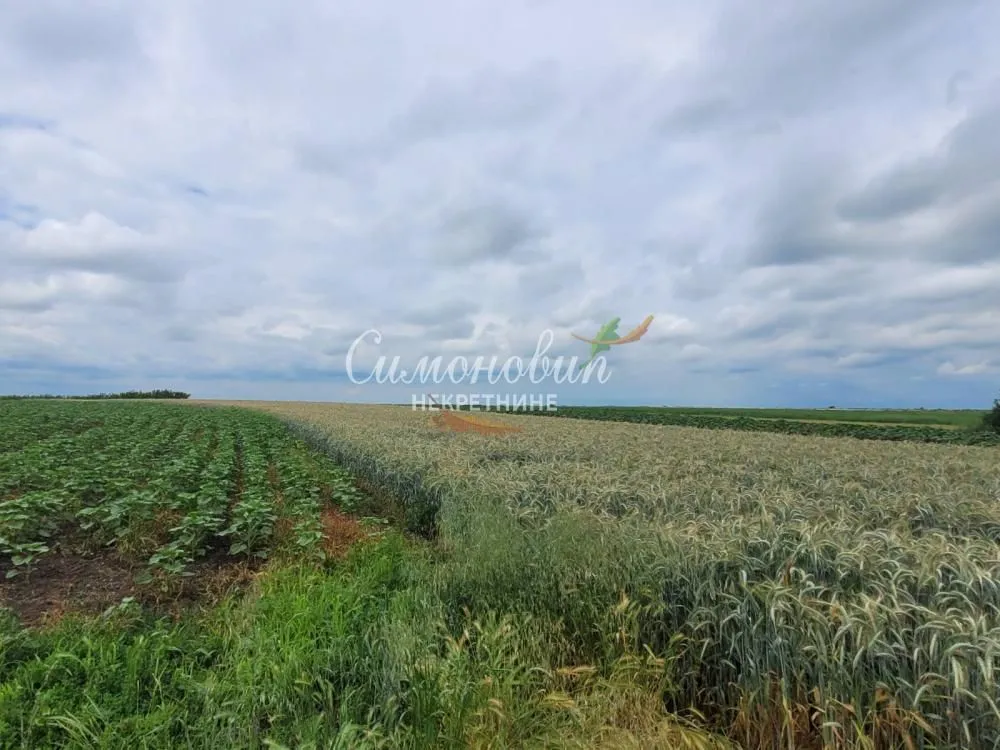 Prodaja, plac, 2200m², Zemun Ugrinovci, Zemun Sve Podlokacije