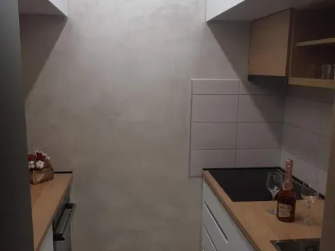 Izdavanje, dvosoban stan, 45m², Jugovićevo, Novi Sad Sve Podlokacije - image 4