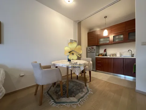 Izdavanje, jednosoban stan, 48m², City Kvart, Podgorica - image 4