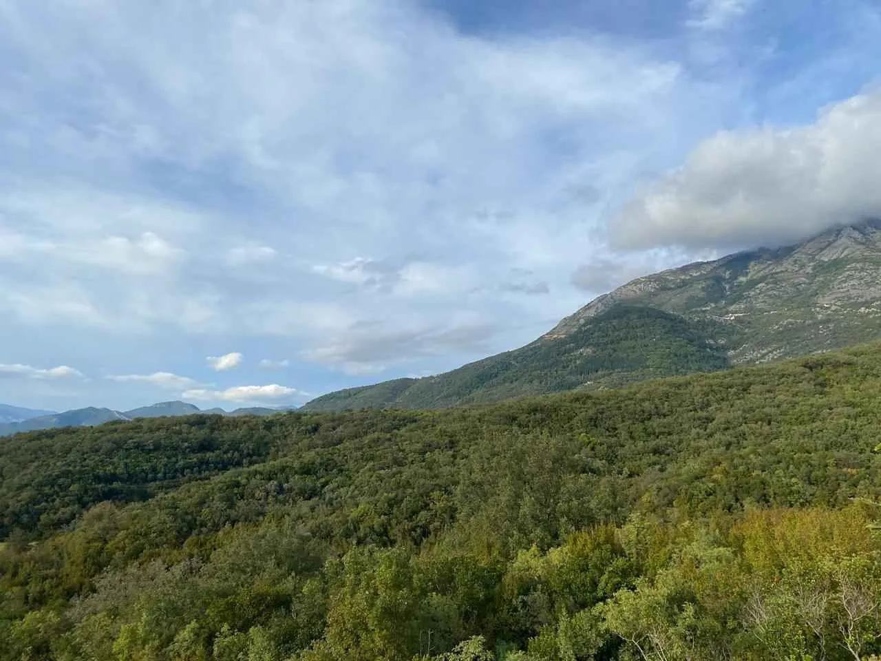 Pogled na šumoviti pejzaž i planine u daljini.