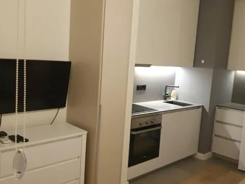 Rent, one bedroom apartment, 30m², Savski Venac, Beograd - image 5