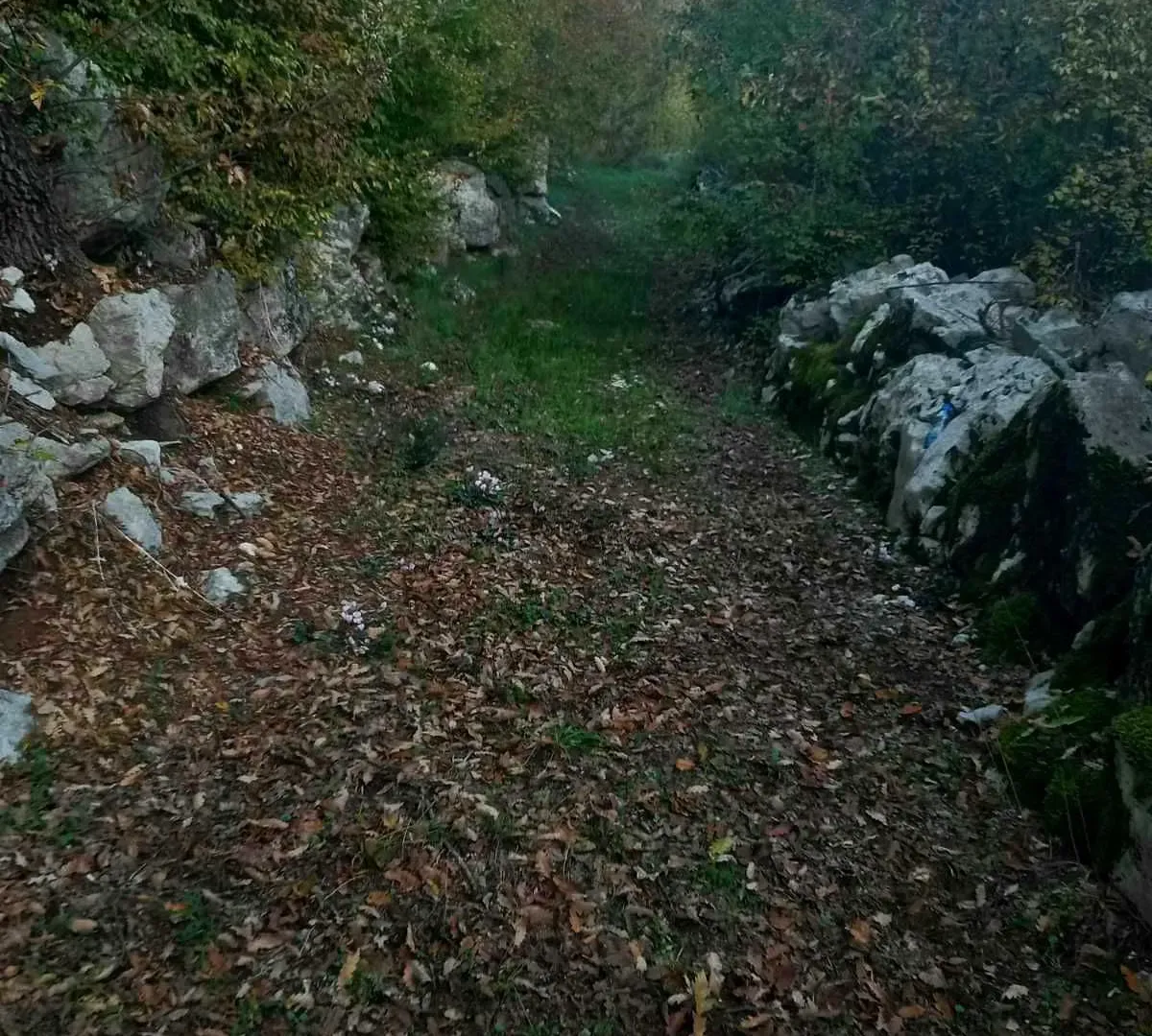 Prodaja, plac, 2200m², Cetinje, Crna Gora