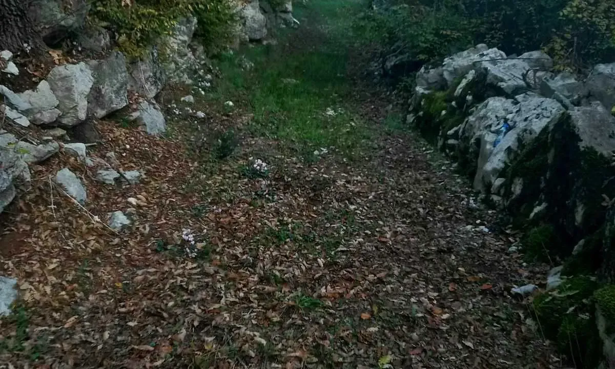 Prodaja, plac, 2200m², Cetinje, Crna Gora