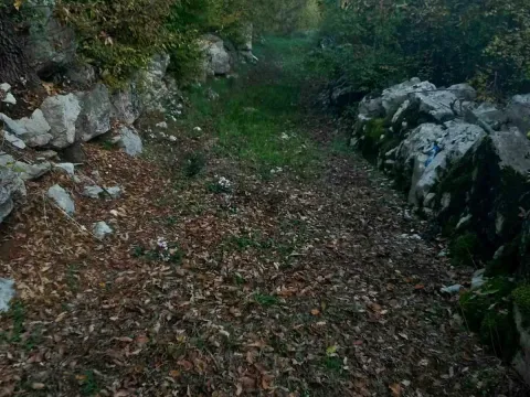 Prodaja, plac, 2200m², Cetinje, Crna Gora