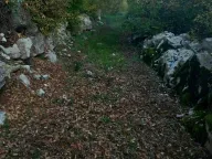 Prodaja, plac, 2200m², Cetinje, Crna Gora - image 1