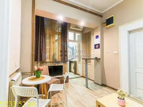 Izdavanje, dvosoban stan, 30m², Skadarlija, Beograd - image 3