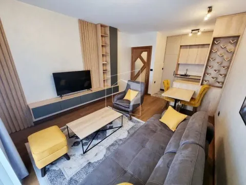 Rent, one bedroom apartment, 49m², Ljubović, Podgorica - image 2