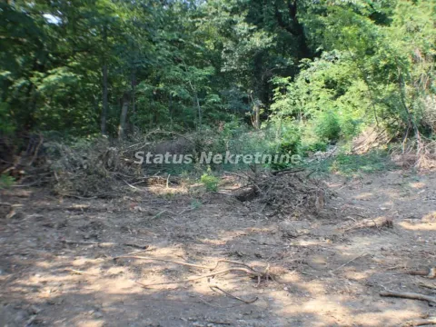 Prodaja, plac, 6500m², Beočin, Srbija - image 3