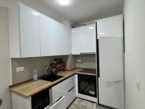 Izdavanje, jednosoban stan, 47m², Stari Aerodrom, Podgorica - image 3