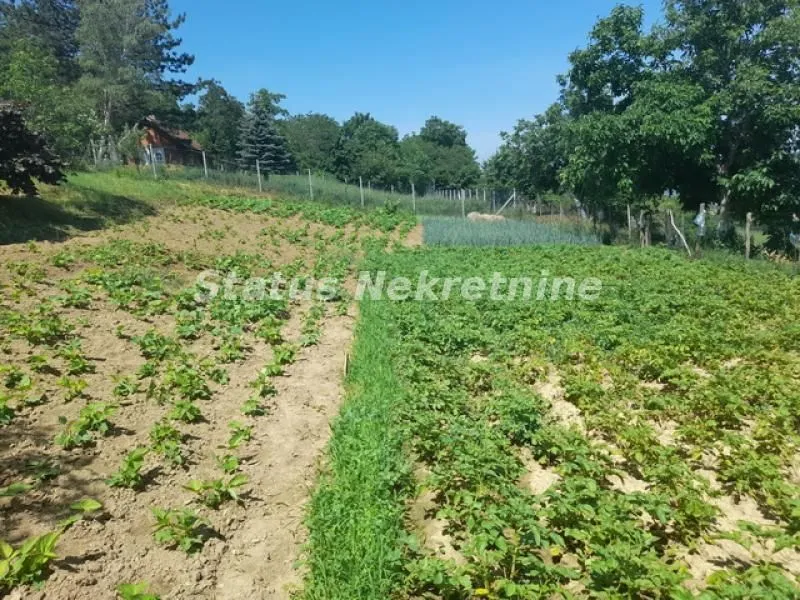 Sale, house, 30m², Beočin, Srbija
