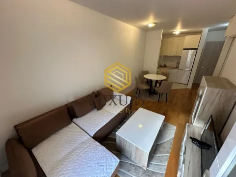 Izdavanje, jednosoban stan, 42m², Central Point, Podgorica - image 9