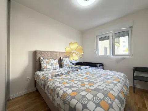 Izdavanje, jednosoban stan, 45m², Pobrežje, Podgorica - image 8