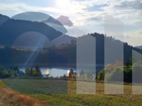 Sale, land lot, 6900m², Debelja, Nova Varoš