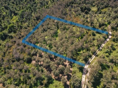 Prodaja, plac, 3030m², Centar, Ulcinj - image 5