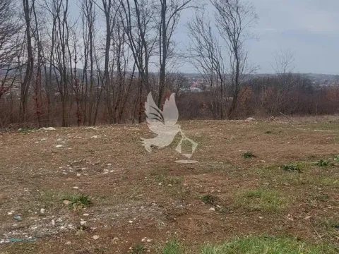 Prodaja, plac, 13500m², Mladenovac, Beograd - image 5