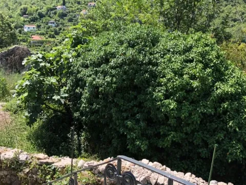 Sale, house, 110m², Seoca, Bar - image 10