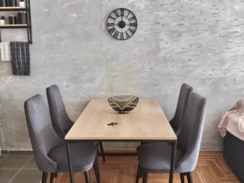 Rent, one bedroom apartment, 45m², Pantelej, Niš - image 5