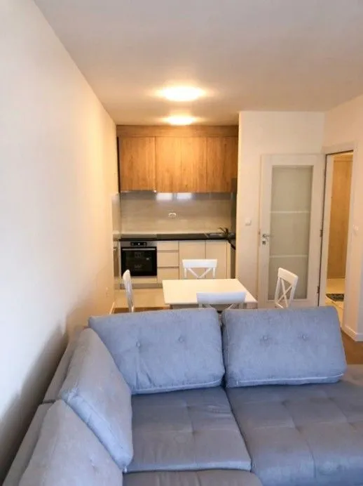 Izdavanje, jednosoban stan, 47m², Central Point, Podgorica