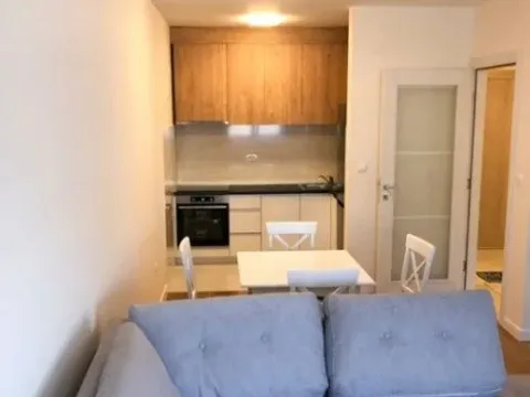 Izdavanje, jednosoban stan, 47m², Central Point, Podgorica