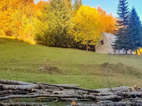 Prodaja, plac, 43000m², Šavnik, Crna Gora - image 2