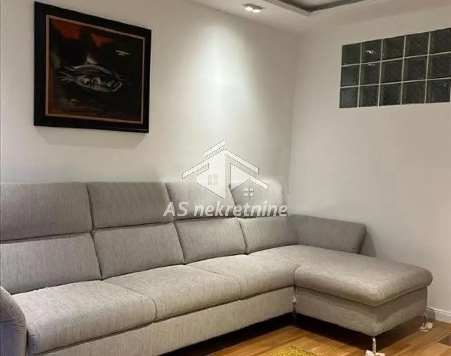 Izdavanje, dvosoban stan, 55m², Vračar Sve Podlokacije, Beograd