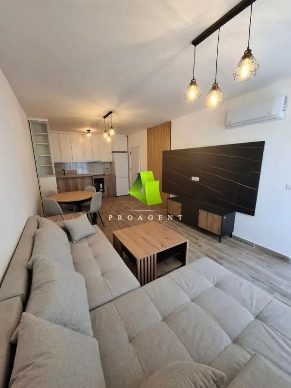 Rent, one bedroom apartment, 50m², Pantelej, Niš