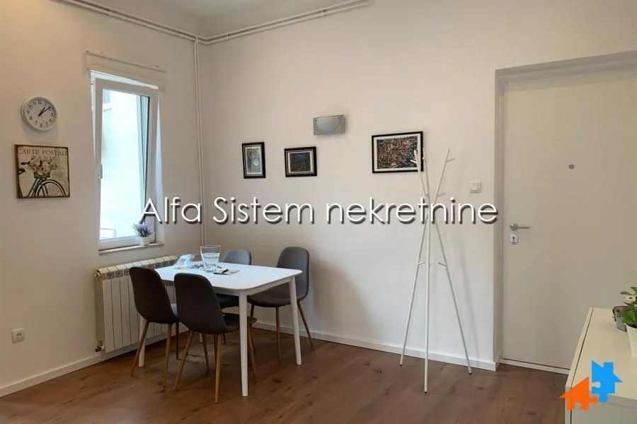 Izdavanje, dvosoban stan, 56m², Vračar Centar, Vračar Sve Podlokacije