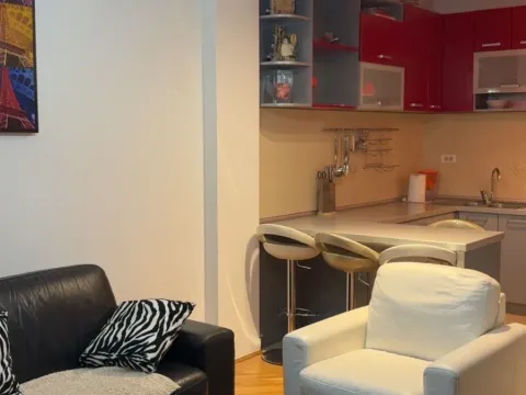 Rent, one bedroom apartment, 47m², Preko Morače, Podgorica - image 6