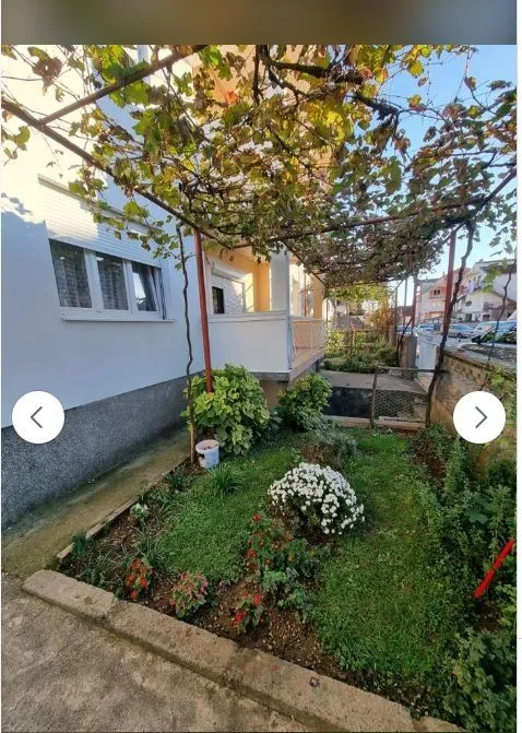 Dvorište kuće sa malom baštom i vinovom lozom.