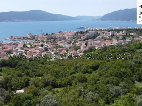 Prodaja, plac, 1430m², Tripovići, Tivat - image 9