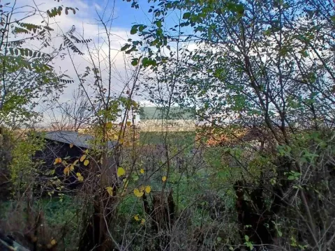 Prodaja, plac, 92300m², Đurđevo brdo, Jagodina - image 8