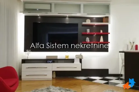 Izdavanje, dvosoban stan, 60m², Vračar Hram, Vračar Sve Podlokacije - image 2
