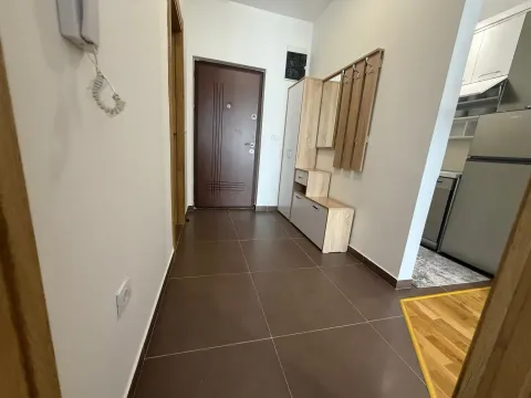Izdavanje, jednosoban stan, 40m², Stari Aerodrom, Podgorica - image 5