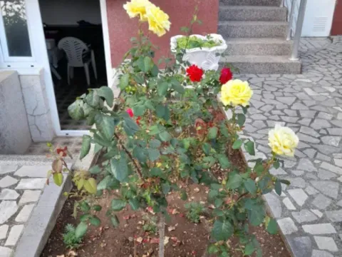 Prodaja, kuća, 176m², Sutomore, Bar - image 9