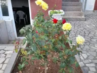 Prodaja, kuća, 176m², Sutomore, Bar - image 9