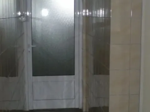 Prodaja, poslovni prostor, 1369m², Smederevska Palanka, Srbija - image 8