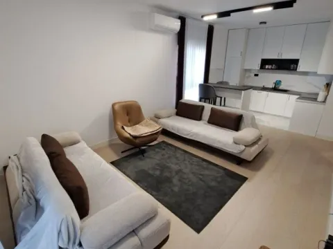 Izdavanje, jednosoban stan, 53m², Krivi Most, Podgorica - image 2