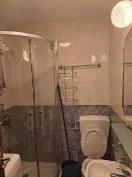 Kupatilo sa tuš kabinom. - image 4