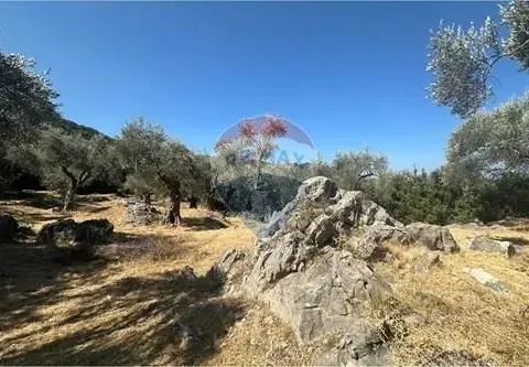 Sale, land lot, 1546m², Bartula, Bar - image 5