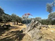 Sale, land lot, 1546m², Bartula, Bar - image 5