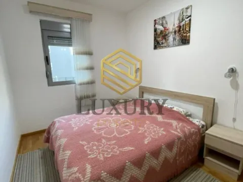 Izdavanje, jednosoban stan, 45m², Zabjelo, Podgorica - image 2