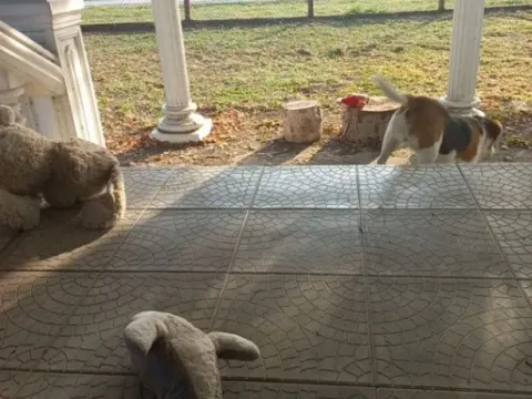 Prodaja, kuća, 100m², Obrež, Pećinci - image 5