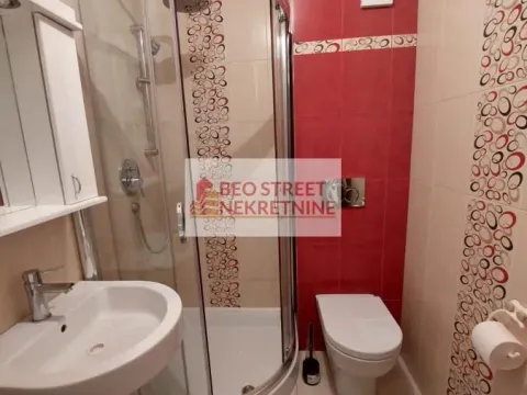 Izdavanje, jednosoban stan, 30m², Zvezdara Sve Podlokacije, Beograd - image 4