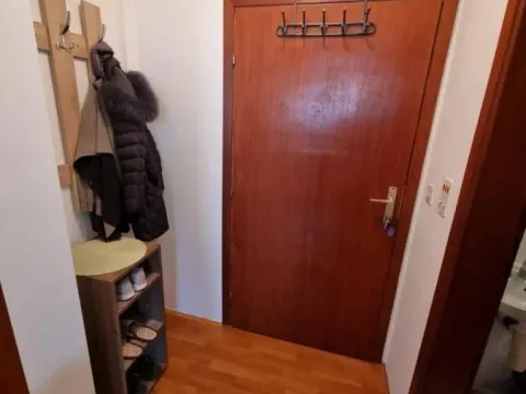 Izdavanje, garsonjera, 22m², Nova Detelinara, Novi Sad Sve Podlokacije - image 8