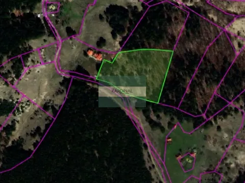Prodaja, plac, 9547m², Kremna, Užice - image 1