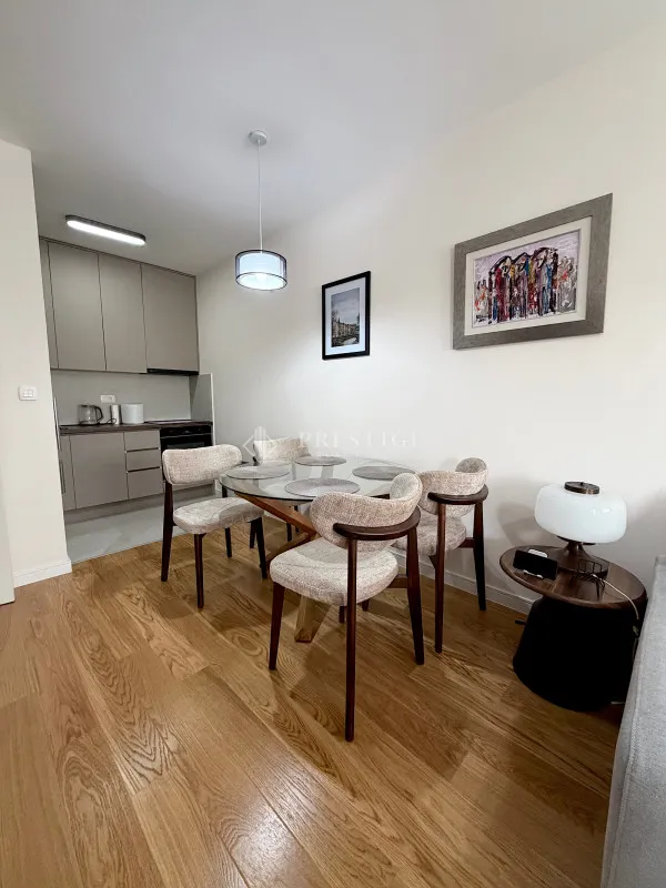 Rent, one bedroom apartment, 47m², Central Point, Podgorica