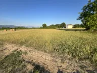 Sale, land lot, 925m², Novo Selo, Danilovgrad - image 2