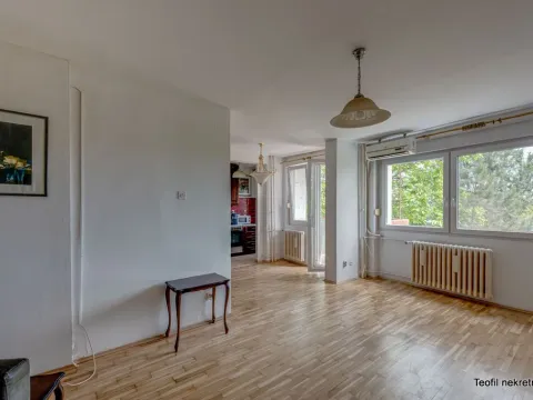 Prodaja, jednosoban stan, 49m², Stari Grad, Beograd - image 6